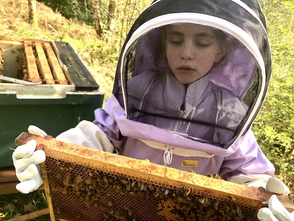 Longsdon Apiary – GatherUK