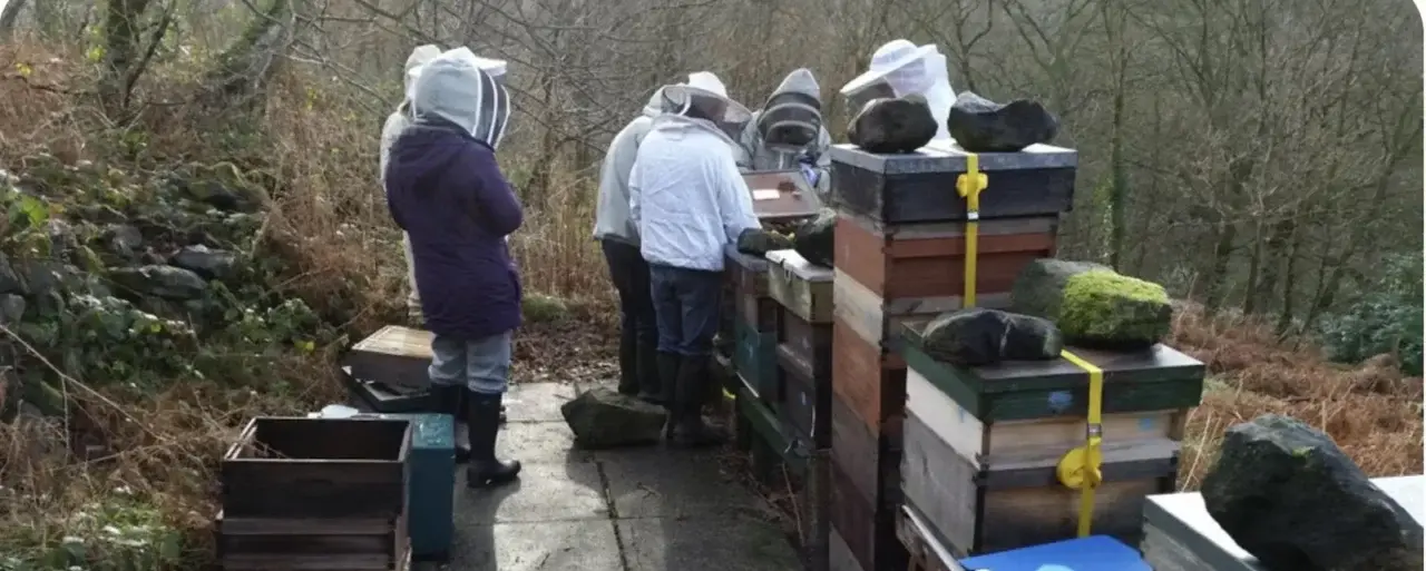 Leek & Moorlands Beekeepers
